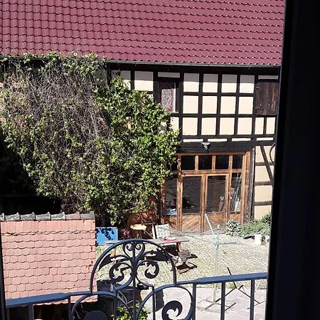 Im Antikhof * Bollberg